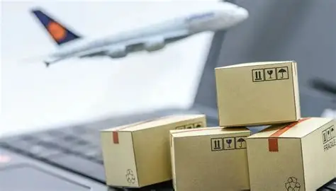 国际空运目的国关税预估:申报不当后果与税务合规指南